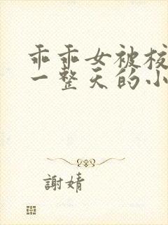 乖乖女被校霸罚一整天的小说