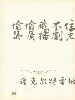 偷偷藏不住18集广播剧免费听