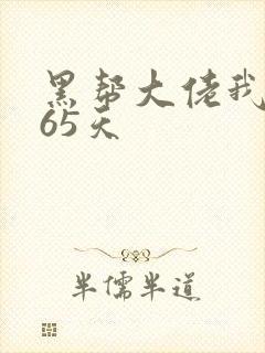 黑帮大佬我的365天