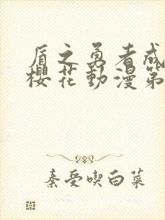 盾之勇者成名录樱花动漫第一季封面