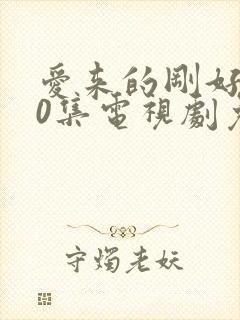 爱来的刚好第60集电视剧免费观看