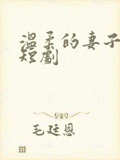 温柔的妻子方萍短剧