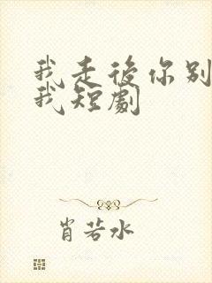 我走后你别再想我短剧封面