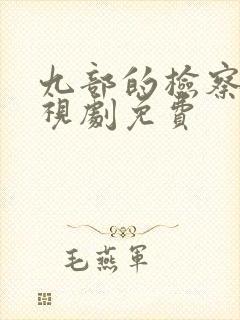 九部的检察官电视剧免费