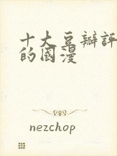 十大豆瓣评分高的国漫