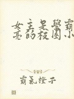 女主是学霸又漂亮的校园小说