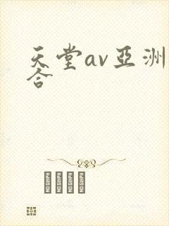 天堂av亚洲综合