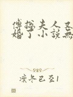 傅总夫人又闹离婚了小说无弹窗封面