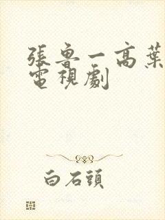 张鲁一高叶演的电视剧封面