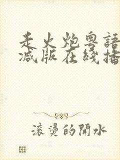 走火炮粤语未删减版在线播放