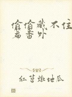 偷偷藏不住新婚篇番外