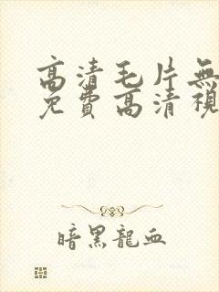 高清毛片无遮挡免费高清视频