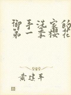 御手洗家的破洞第一季樱花动漫