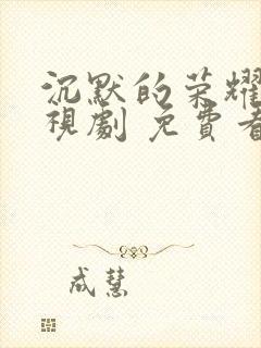 沉默的荣耀 电视剧 免费看