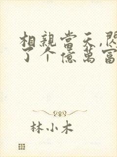 相亲当天,闪婚了个亿万富翁完本txt下载封面