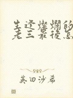 生逢灿烂的日子老三最后怎么样了