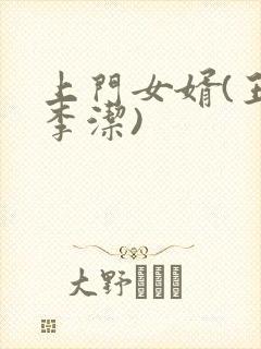 上门女婿(王浩李洁)封面