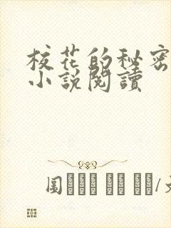 校花的秘密筱柔小说阅读