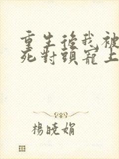 重生后我被渣男死对头宠上天.