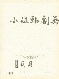 小姐韩剧无删减