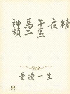 神马午夜精品视频二区