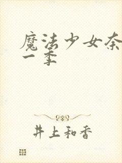 魔法少女奈叶第一季