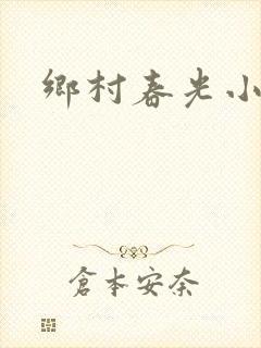 乡村春光小说