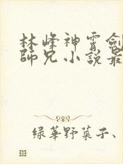 林峰神霄剑宗大师兄小说最新章节