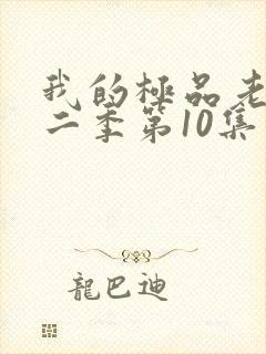 我的极品老婆第二季第10集