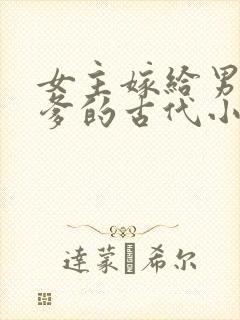 女主嫁给男主他爹的古代小说