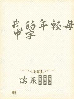 我的年轻母亲4中字封面