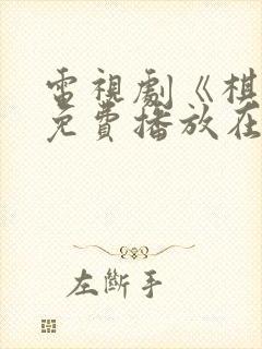 电视剧《棋士》免费播放在线观看