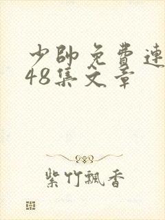 少帅免费连续剧48集文章