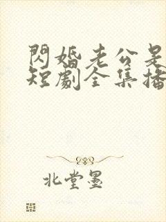 闪婚老公是总裁短剧全集播放封面