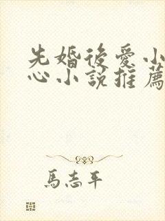 先婚后爱小说虐心小说推荐古言