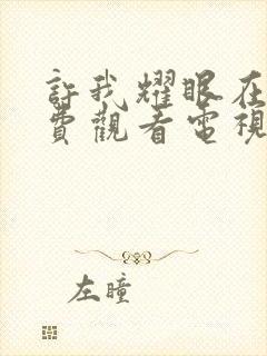 许我耀眼在线免费观看电视剧