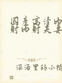 国产高清内射内射内射夫妻