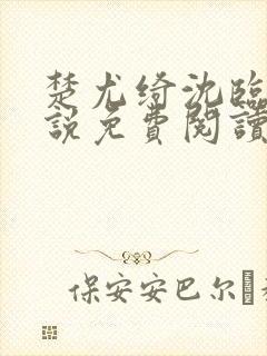 楚尤绮沈临砚小说免费阅读最新章节