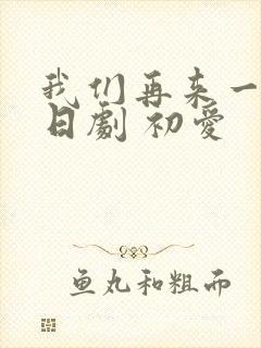 我们再来一次 日剧 初爱