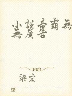 小说帝霸无弹窗无广告