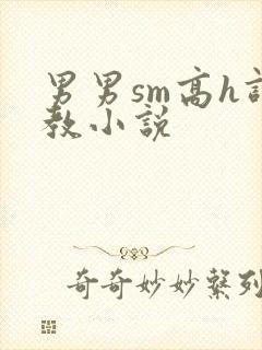 男男sm高h调教小说