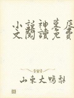 小说神墓辰东全文阅读免费