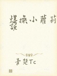 爆操小萝莉的小说