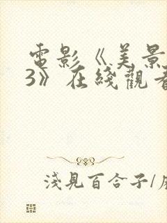 电影《美景之屋3》在线观看封面