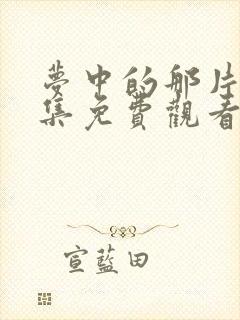 梦中的那片海全集免费观看