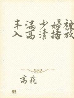 丰满少妇被猛进入高清播放