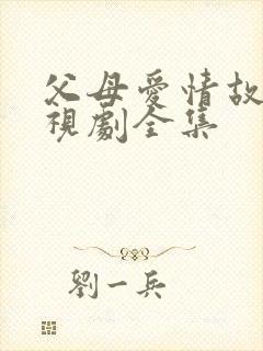 父母爱情故事电视剧全集