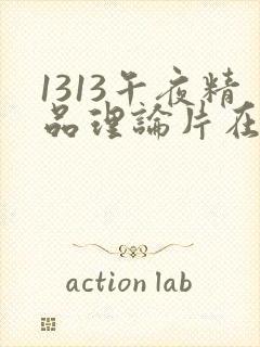 1313午夜精品理论片在线观看