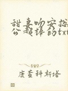 甜妻吻安总裁老公超棒的txt