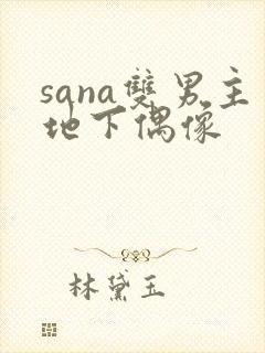 sana双男主地下偶像